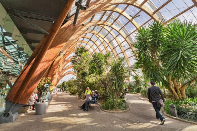 Inside Sheffield Winter Gardens, glass house with plants.